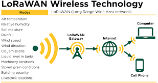 Exploring the Potential of LoRa Networks in Modern Connectivity