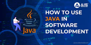 Exploring the Dynamic World of Java Software Development