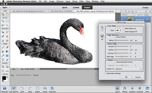 Mastering the Art of Digital Design with Photoshop Software