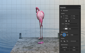 adobe photoshop free download