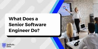 Empowering Innovation: The Essential Role of a Senior Software Engineer