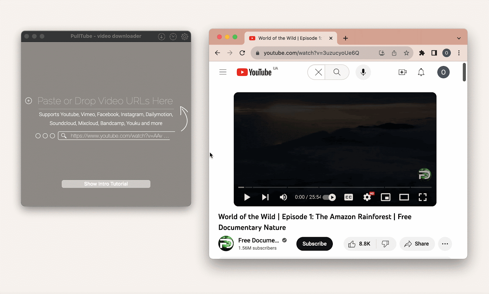 Mastering the Art of Video Downloads with YTD Video Downloader